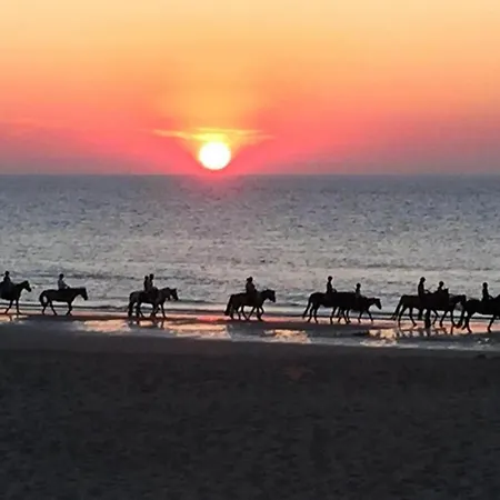 In Near Sandy Beaches *