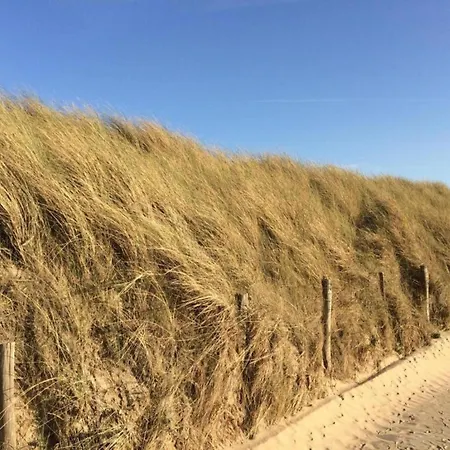 In Near Sandy Beaches * Wenduine