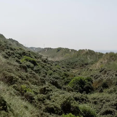Villa In Near Sandy Beaches *