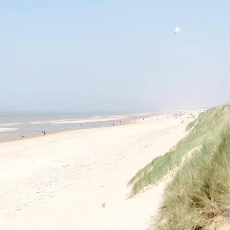 In Near Sandy Beaches